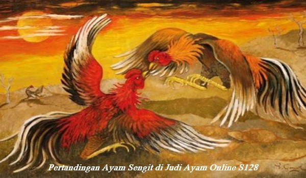 Pertandingan Ayam Sengit di Judi Ayam Online S128